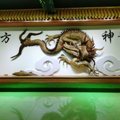 东方神龙