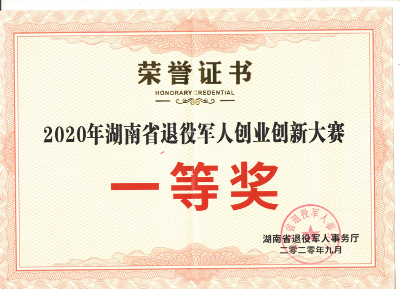 湖南省退役军人一等奖.jpg